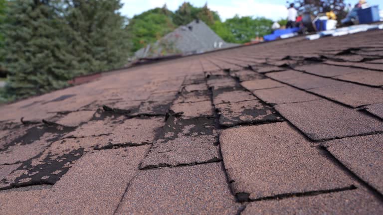 Best Roof Coating and Sealing  in Willow Grove, PA